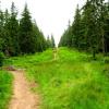 podejscie pod Palenice, Roman Świątkowski