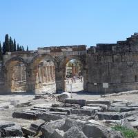 brama do Hierapolis, Danusia