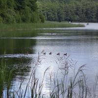 jezioro Obłęskie, Danusia