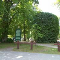 bindaż , Danusia