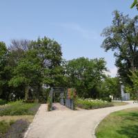 Rosarium, Marcin_Henioo