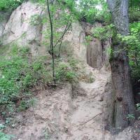 , mokunka
