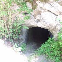 , mokunka