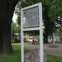 Lipa sądowa