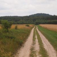 Tam są Sokole Góry, Tadeusz Walkowicz