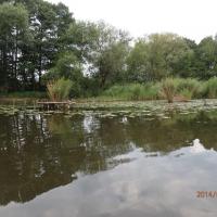 , Barsolis Karol Turysta Kulturowy