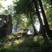 Zamek Gryf