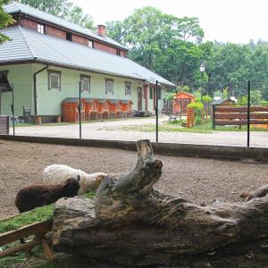 Stajnia i mini zoo w Żywcu