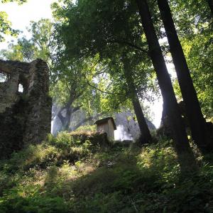Zamek Gryf
