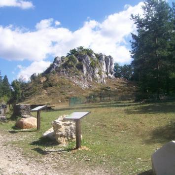 jura rezerwat góry zborów - zdjęcie