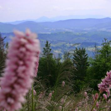 Mała Fatra z Redykalnej, DoRi