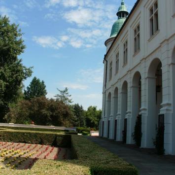 , mokunka