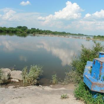 , mokunka