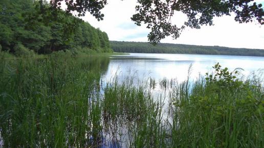 jezioro Obłęskie, Danusia