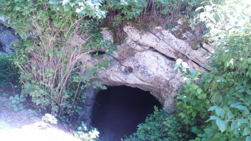 , mokunka