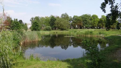 Staw parkowy, Marcin_Henioo