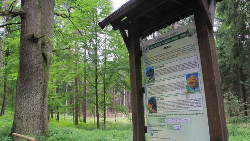Rudawski Park Krajobrazowy