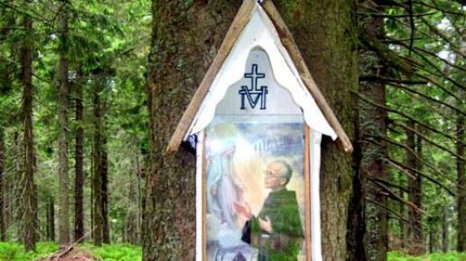 kapliczka na drzewie na Trzech Kopcach, Roman Świątkowski