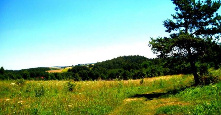 JURA – Kroczyce, Morsko i Okiennik Wlk. - zdjęcie