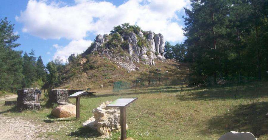 jura rezerwat góry zborów - zdjęcie