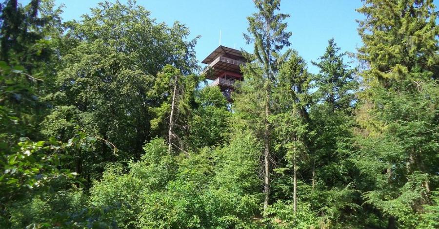 Kaszubskie szlaki - Wieżyca, Strysza Buda - zdjęcie