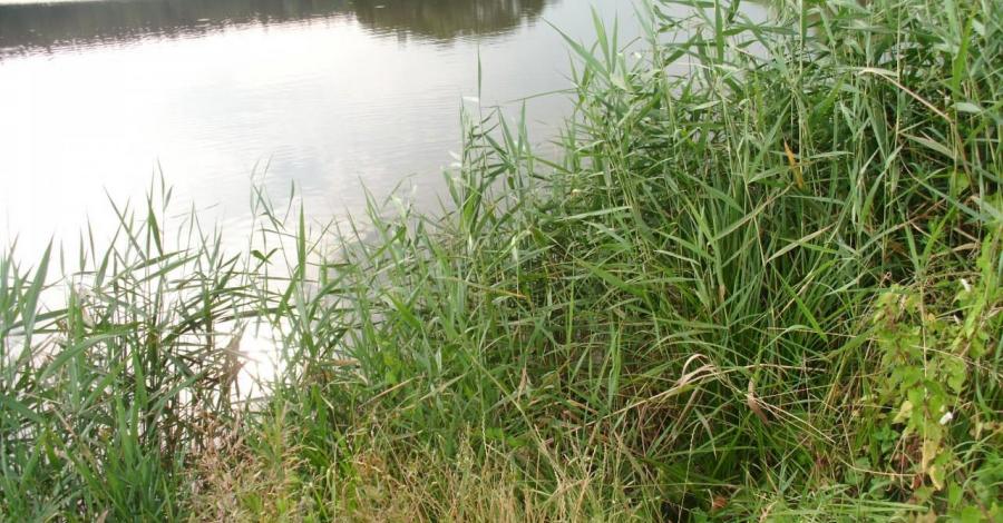 Nie tylko Rezerwat Dziki Staw - zdjęcie