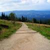 szlak żółty w kierunku Ryzy, Roman Świątkowski
