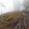 Dz8: Szlak na Radziejową, DoRi