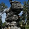 , wojtek