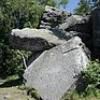 , wojtek