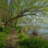 , wojtek
