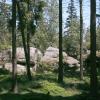 , wojtek