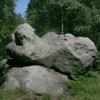 , wojtek