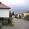 , wojtek