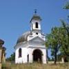 , wojtek
