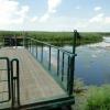 Narew, toja1358