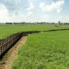 Kładka nad Narwią, toja1358