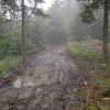 Dz8: Szlak na Radziejową, DoRi