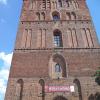 katedra, Danusia