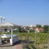 widok ze wzgórza na miasto, Danusia
