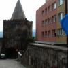 , mokunka