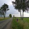 , toja1358
