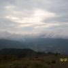 , roberttof