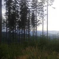 , Turysta