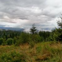 Dz7: Widoki z Kiczery, DoRi