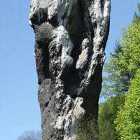 , wojtek