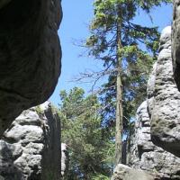 , wojtek