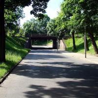 , wojtek
