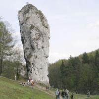 , wojtek