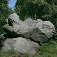 , wojtek